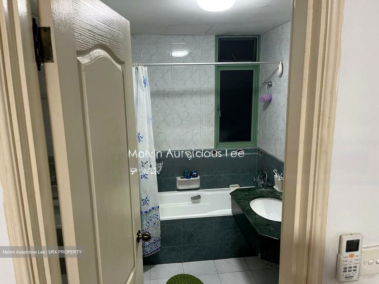 Tiara (D9), Condominium #540804001